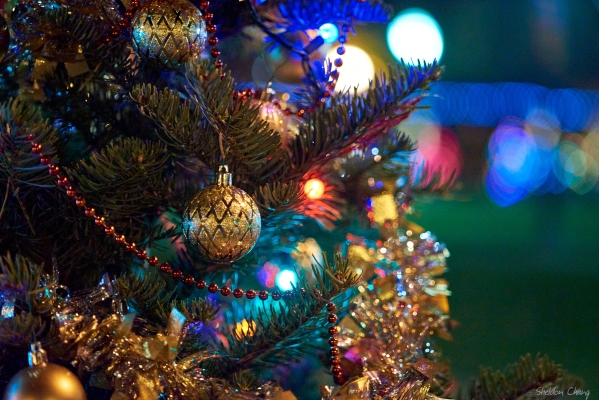 Christmas Tree and Lights