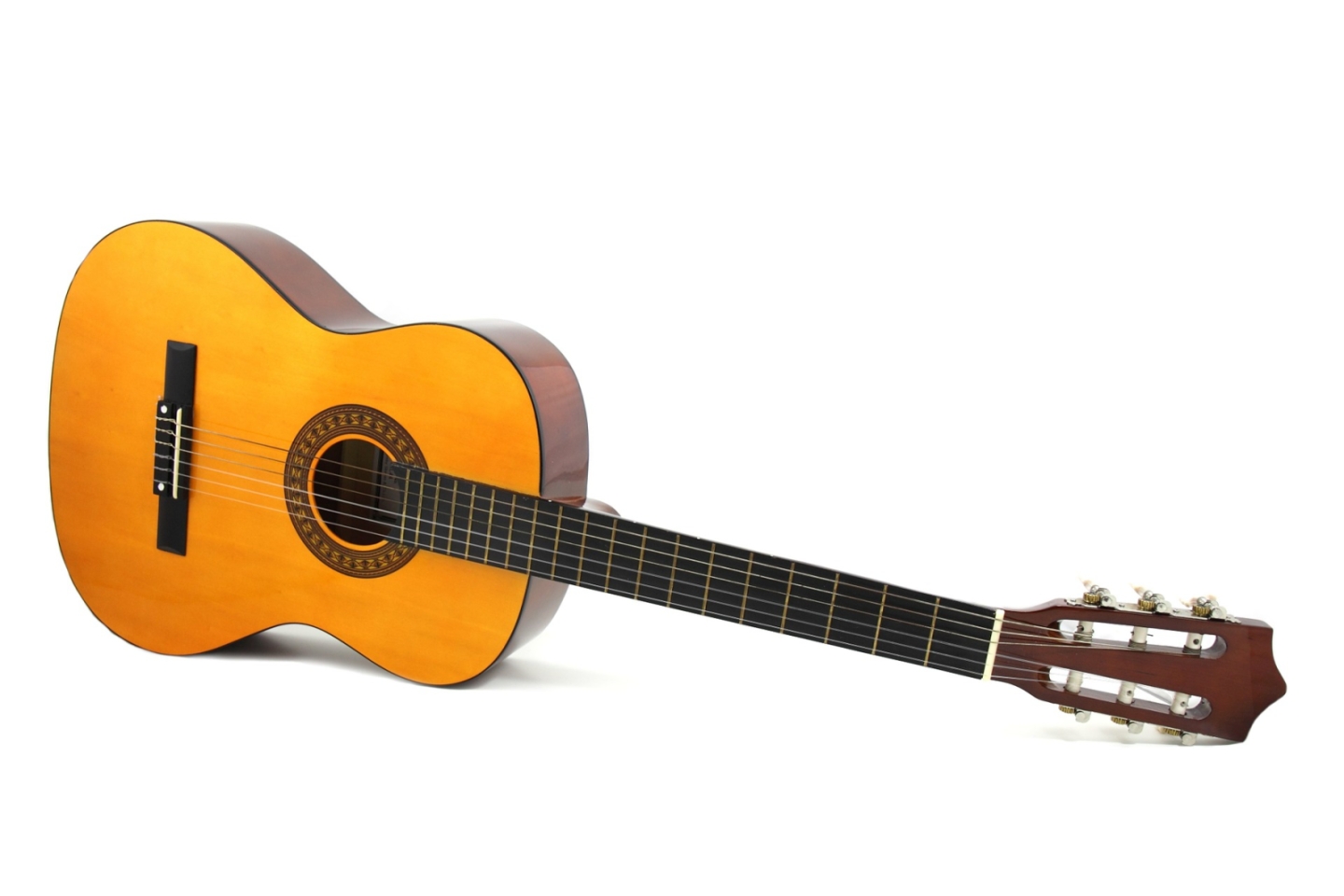 6 String Guitar